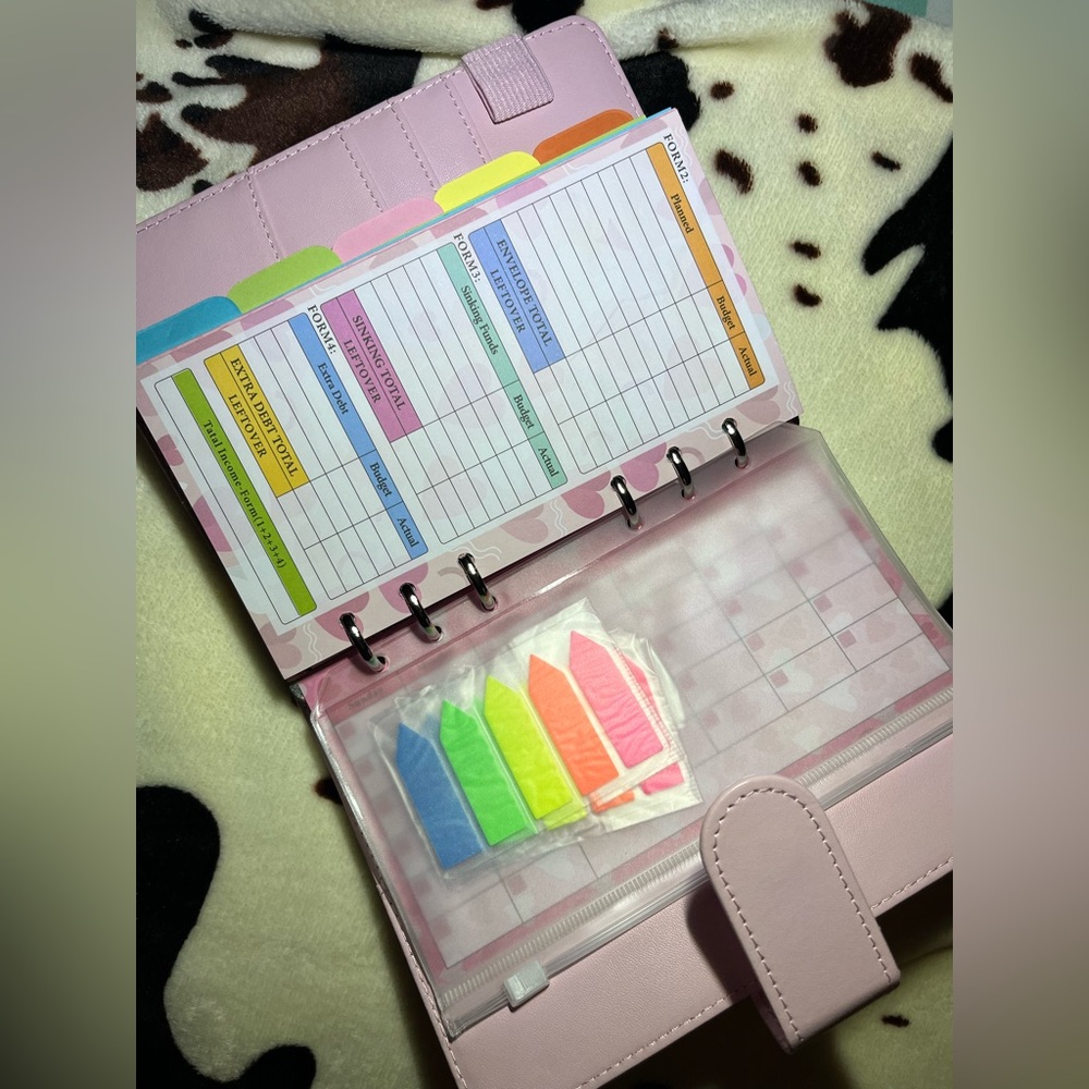 ✨BRAND NEW PINK BUDGET PLANNER✨